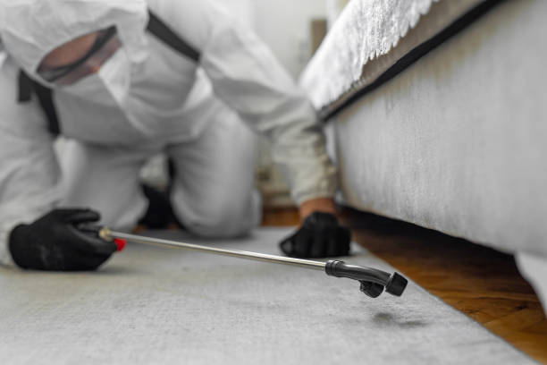 Professional Pest Control technician working in Peru, IL